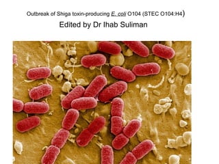 Outbreak of Shiga toxin-producing  E. coli  O104 (STEC O104:H4 ) Edited by Dr Ihab Suliman   
