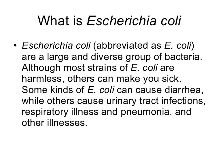 outbreak of shiga toxin producing e coli outbreak of shiga toxin producing e coli