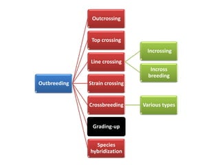 Outbreeding
Outcrossing
Top crossing
Line crossing
Incrossing
Incross
breeding
Strain crossing
Crossbreeding Various types
Grading-up
Species
hybridization
 