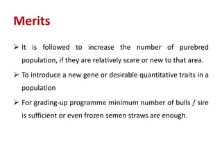 Merits
 It is followed to increase the number of purebred
population, if they are relatively scare or new to that area.
 To introduce a new gene or desirable quantitative traits in a
population
 For grading-up programme minimum number of bulls / sire
is sufficient or even frozen semen straws are enough.
 
