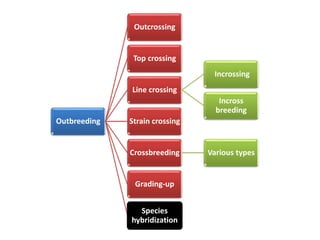 Outbreeding
Outcrossing
Top crossing
Line crossing
Incrossing
Incross
breeding
Strain crossing
Crossbreeding Various types
Grading-up
Species
hybridization
 