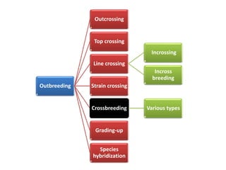 Outbreeding
Outcrossing
Top crossing
Line crossing
Incrossing
Incross
breeding
Strain crossing
Crossbreeding Various types
Grading-up
Species
hybridization
 