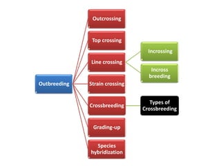 Outbreeding
Outcrossing
Top crossing
Line crossing
Incrossing
Incross
breeding
Strain crossing
Crossbreeding
Types of
Crossbreeding
Grading-up
Species
hybridization
 