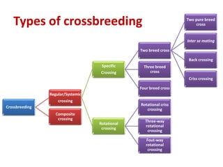 Types of crossbreeding
Crossbreeding
Regular/Systemic
crossing
Specific
Crossing
Two breed cross
Two pure breed
cross
Inter se mating
Back crossing
Criss crossing
Three breed
cross
Four breed cross
Rotational
crossing
Rotational criss
crossing
Three-way
rotational
crossing
Fout-way
rotational
crossing
Composite
crossing
 