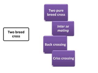 Two breed
cross
Two pure
breed cross
Inter se
mating
Back crossing
Criss crossing
 