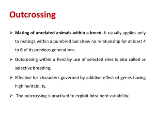 Outcrossing
 Mating of unrelated animals within a breed. It usually applies only
to matings within a purebred but show no relationship for at least 4
to 6 of its previous generations.
 Outcrossing within a herd by use of selected sires is also called as
selective breeding.
 Effective for characters governed by additive effect of genes having
high heritability.
 The outcrossing is practised to exploit intra herd variability.
 