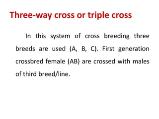 Three-way cross or triple cross
In this system of cross breeding three
breeds are used (A, B, C). First generation
crossbred female (AB) are crossed with males
of third breed/line.
 