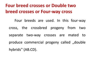 Four breed crosses or Double two
breed crosses or Four-way cross
Four breeds are used. In this four-way
cross, the crossbred progeny from two
separate two-way crosses are mated to
produce commercial progeny called „double
hybrids‟ (AB.CD).
 