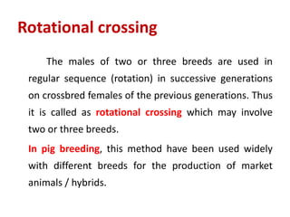 Rotational crossing
The males of two or three breeds are used in
regular sequence (rotation) in successive generations
on crossbred females of the previous generations. Thus
it is called as rotational crossing which may involve
two or three breeds.
In pig breeding, this method have been used widely
with different breeds for the production of market
animals / hybrids.
 