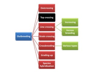 Outbreeding
Outcrossing
Top crossing
Line crossing
Incrossing
Incross
breeding
Strain crossing
Crossbreeding Various types
Grading-up
Species
hybridization
 