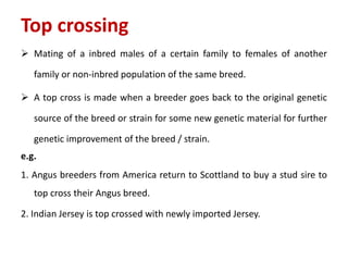 Top crossing
 Mating of a inbred males of a certain family to females of another
family or non-inbred population of the same breed.
 A top cross is made when a breeder goes back to the original genetic
source of the breed or strain for some new genetic material for further
genetic improvement of the breed / strain.
e.g.
1. Angus breeders from America return to Scottland to buy a stud sire to
top cross their Angus breed.
2. Indian Jersey is top crossed with newly imported Jersey.
 