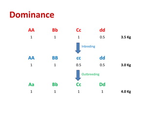 Dominance
AA Bb Cc dd
1 1 1 0.5 3.5 Kg
Inbreding
AA BB cc dd
1 1 0.5 0.5 3.0 Kg
Outbreeding
Aa Bb Cc Dd
1 1 1 1 4.0 Kg
 