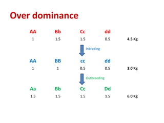 Over dominance
AA Bb Cc dd
1 1.5 1.5 0.5 4.5 Kg
Inbreding
AA BB cc dd
1 1 0.5 0.5 3.0 Kg
Outbreeding
Aa Bb Cc Dd
1.5 1.5 1.5 1.5 6.0 Kg
 