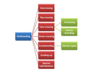 Outbreeding
Outcrossing
Top crossing
Line crossing
Incrossing
Incross
breeding
Strain crossing
Crossbreeding Various types
Grading-up
Species
hybridization
 