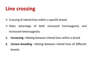 Line crossing
 Crossing of inbred lines within a specific breed.
 Takes advantage of both increased homozygosity and
increased heterozygosity
1. Incrossing : Mating between inbred lines within a breed
2. Incross breeding : Mating between inbred lines of different
breeds.
 