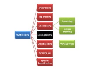 Outbreeding
Outcrossing
Top crossing
Line crossing
Incrossing
Incross
breeding
Strain crossing
Crossbreeding Various types
Grading-up
Species
hybridization
 