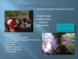 Creeks draw wildlife to the outdoor classroom. * Important Outdoor Classroom Feature! Nature’s Laboratory! Allows the study of: Aquatic animals and plants Pollution/Waste Management Principles Water Cycle Web of Life Scientific Process Water Quality tests Conservation 