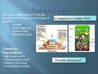 All organic matter placed in the pile becomes fertile soil to be used again in gardens: Leaves  Grass clippings Table scraps Shredded paper Teaching Possibilities:  Lab Experiments Decomposition study Nature’s Recycling Sustainability studies Companion to Garden Plot! Possible fundraiser!!  