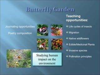 Teaching opportunities: Life cycles of insects Migration Native wildflowers Edible/Medicinal Plants Invasive species Pollination principles Journaling opportunities Poetry composition Studying human impact on the environment 