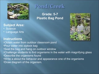 Grade: 5-7 Plastic Bag Pond Subject Area:  Science  Language Arts Instructions Obtain water from outdoor classroom pond  Pour water into ziplock bag Seal the bag and hang on outdoor window Challenge students to find organisms in the water with magnifying glass Describe the organisms found Write a about the behavior and appearance one of the organisms Draw diagram of the organism. 