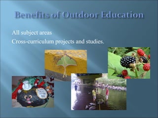 All subject areas  Cross-curriculum projects and studies. 