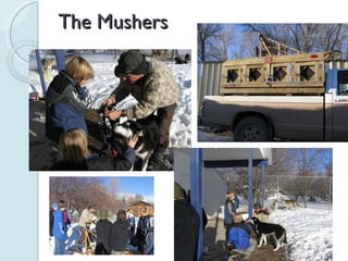 The Mushers 