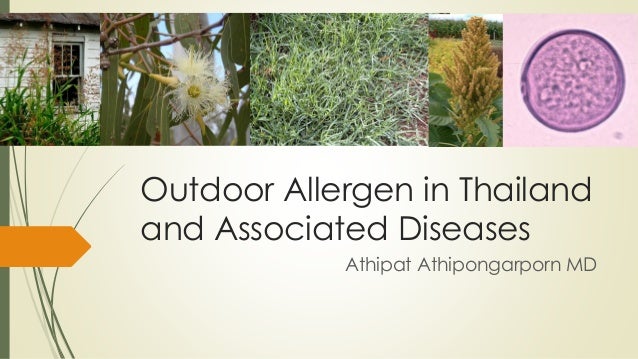 Outdoor Allergen In Thailand And Associated Diseases