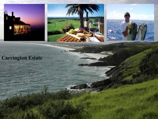 Carrington Estate 