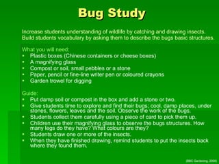 Bug Student Early & Effective Outdoor Education: Nurturing the Future of Children ...