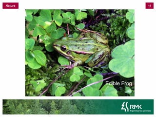 8NatureSelsimire