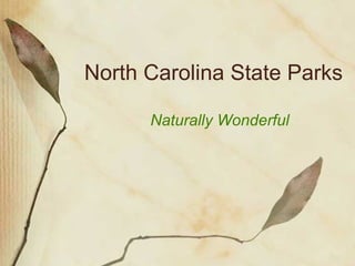 North Carolina State Parks Naturally Wonderful   