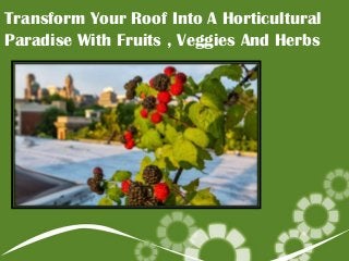 Transform Your Roof Into A Horticultural
Paradise With Fruits , Veggies And Herbs

 