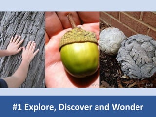 #1 Explore, Discover and Wonder 
 