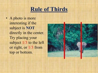 Rule of Thirds
• A photo is more
interesting if the
subject is NOT
directly in the center.
Try placing your
subject 1/3 to the left
or right, or 1/3 from
top or bottom.
 