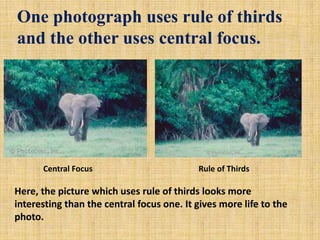 One photograph uses rule of thirds
and the other uses central focus.
Central Focus Rule of Thirds
Here, the picture which uses rule of thirds looks more
interesting than the central focus one. It gives more life to the
photo.
 