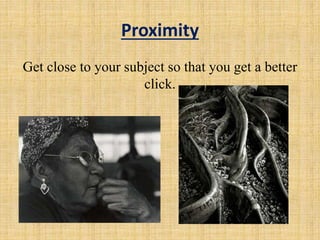 Proximity
Get close to your subject so that you get a better
click.
 
