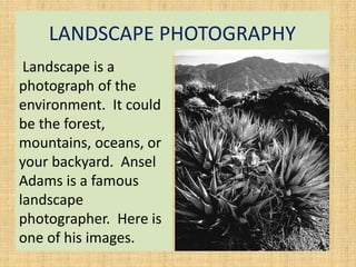 LANDSCAPE PHOTOGRAPHY
Landscape is a
photograph of the
environment. It could
be the forest,
mountains, oceans, or
your backyard. Ansel
Adams is a famous
landscape
photographer. Here is
one of his images.
 