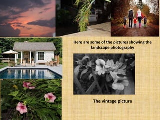 Here are some of the pictures showing the
landscape photography
The vintage picture
 