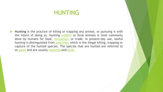 Hunting Definition Outdoor recreational activities | PPTX
