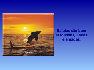 Baleias são bem resolvidas, lindas e amadas. 