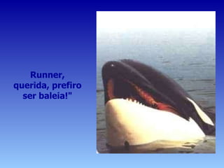 Runner, querida, prefiro ser baleia!" 