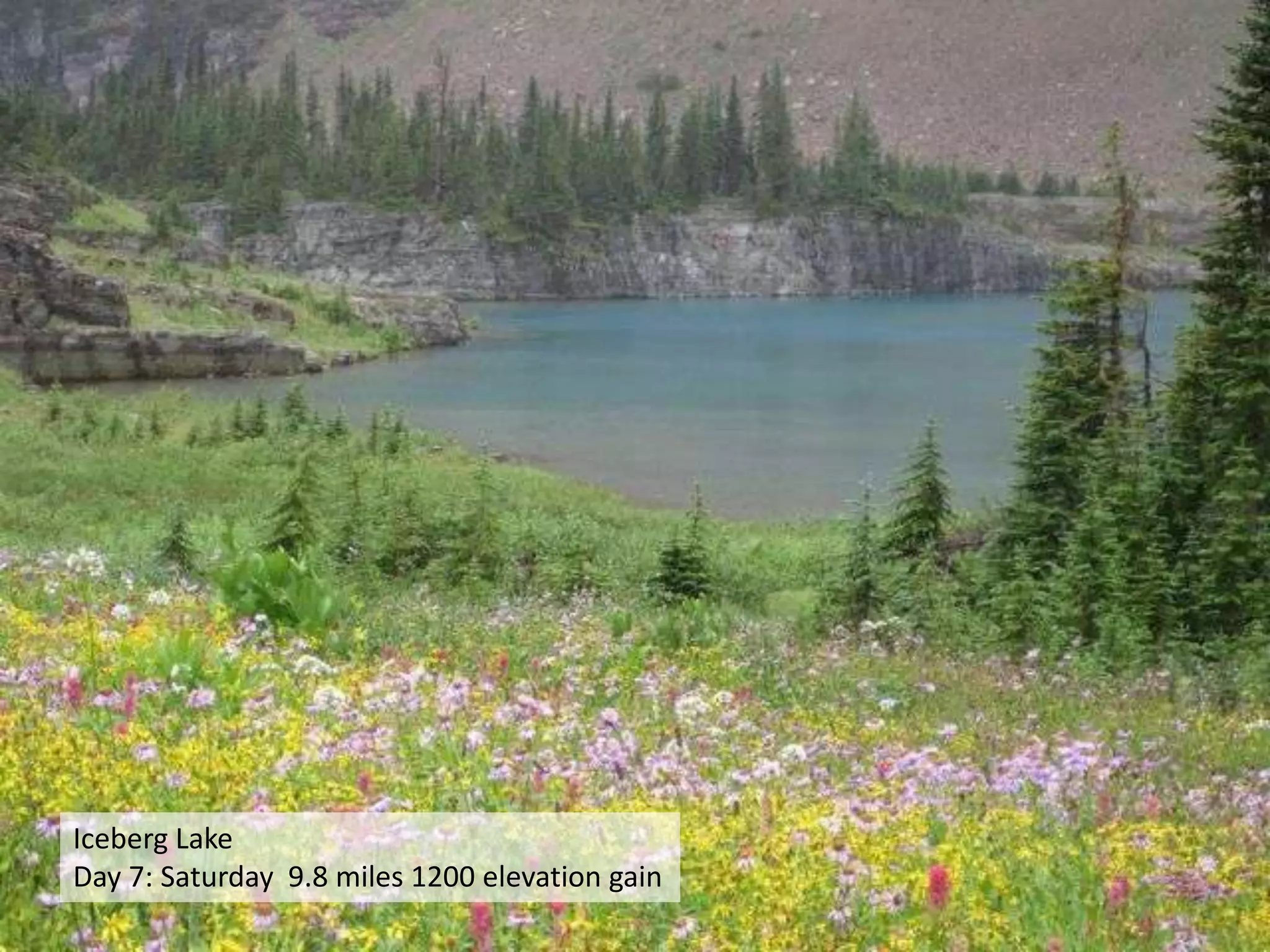 Iceberg LakeDay 7: Saturday  9.8 miles 1200 elevation gain