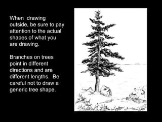 When  drawing outside, be sure to pay attention to the actual shapes of what you are drawing. Branches on trees point in different directions and are different lengths.  Be careful not to draw a generic tree shape.  