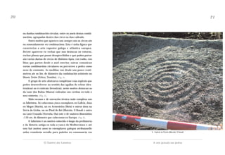 20

21

ou dunha combinación circular, entre os aneis destas combinacións, agrupadas dentro dun circo ou dun cadrado.
Outro motivo que aparece case sempre son os circos sós
ou nomeadamente en combinacións. Esta é unha figura que
caracteriza a arte rupestre galega e atlántica europea.
Decote aparecen en rochas que non destacan no entorno,
rochas planas que pasan desapercibidas e que poden portar
ata varias ducias de circos de distintos tipos, con radio, con
liñas que parten desde o anel exterior, outras comunican
varias combinacións circulares ou percorren a pedra como
nexo do conxunto. As medidas van desde uns pouco centímetros ate os 3m. de diámetro da combinación existente no
Monte Tetón (Tebra, Tomiño). (Fig. 4).
O grupo de arte abstracta complétase coas espirais que
poden desenvolverse no sentido das agullas do reloxo (dextroxiras) ou ó contraio (levoxiras), neste motivo destacan as
da Laxe das Rodas (Muros) rodeadas con coviñas en todo o
seu contorno. (Fig. 5).
Máis escasos e de execución técnica máis complexa son
os labirintos. Só coñecemos cinco exemplares en Galicia, dous
en Mogor (Marín), un en Armenteira (Meis) e outros dous na
Serra da Groba, un no Pinal do Rei (Marzán, O Rosal) e outro
na Laxe Cruzada (Torroña, Oia) este o de maiores dimensións
–110 cm. de diámetro que coñecemos en Europa. (Fig. 6).
O labirinto é un motivo coñecido ó longo da prehistoria
e da historia antiga en toda a cunca do Mediterráneo e até
non hai moitos anos ós exemplares galegos atribuíaselle
unha cronoloxía serodia para poñelos en consonancia cos

5.- Espiral no Picoto (Marzán, O Rosal)

O Outeiro dos Lameiros

A arte gravada nas pedras

 