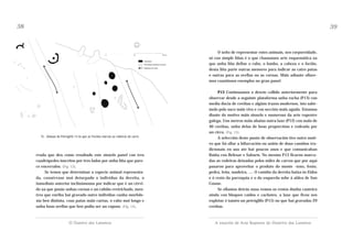 38

39

O xeito de representar estes animais, sen corporeidade,
só con simple liñas é o que chamamos arte esquemática xa
que unha liña define o rabo, o lombo, a cabeza e o fociño,
desta liña parte outras menores para indicar as catro patas
e outras para as orellas ou as cornas. Máis adiante ollaremos cuantiosos exemplos no gran panel.

rrada que deu como resultado este sinxelo panel con tres
cuadrúpedes inscritos por tres lados por unha liña que parece encerralos. (Fig. 13).
Se temos que determinar a especie animal representada, consérvase moi deturpado o individuo da dereita, o
inmediato anterior inclinámonos por indicar que é un cérvido xa que posúe unhas cornas e un rabiño revirichado, mentres que enriba hai gravado outro individuo cunha morfoloxía ben distinta, coas patas máis curtas, o rabo moi longo e
unha boas orellas que ben podía ser un raposo. (Fig. 14).

P13 Continuamos o desvío collido anteriormente para
observar desde a seguinte plataforma unha rocha (P13) con
media ducia de coviñas e algúns trazos modernos, isto sabémolo polo suco máis vivo e con sección máis aguda. Estamos
diante do motivo máis sinxelo e numeroso da arte rupestre
galega. Uns metros máis abaixo outra laxe (P12) con máis de
40 coviñas, unha delas de boas proporcións e rodeada por
un circo. (Fig. 15).
A selección deste punto de observación tivo outro motivo que foi ollar a bifurcación ou unión de dous camiños tradicionais en uso ate hai poucos anos e que comunicaban
Baíña con Belesar e Sabarís. No mesmo P13 ficaron marcadas as rodeiras deixadas polos miles de carros que por aquí
pasaron para aproveitar o produto do monte –toxo, fento,
pedra, leña, madeira, ...- O camiño da dereita baixa ós Eidos
e ó resto da parroquia e o da esquerda sobe á aldea de San
Cosme.
Se ollamos detrás nosa vemos os restos dunha canteira
aínda con bloques caídos e cachotes, a laxe que ficou sen
explotar é tamén un petróglifo (P15) no que hai gravadas 29
coviñas.

O Outeiro dos Lameiros

A estación de Arte Rupestre do Outeriro dos Lameiros

15.- Debuxo do Petróglifo 13 no que as frechas marcan as rodeiras de carro.

 