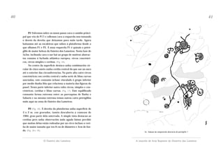 40

41

P1 Volvemos sobre os nosos pasos cara o camiño principal que vén de P17 e collemos cara a esquerda non tomando
o desvío da dereita que deixamos para máis tarde. Agora
baixamos até as escaleiras que soben á plataforma desde a
que ollamos P1 e P2. Á nosa esquerda P1 é quizais o petróglifo de maior beleza do Outeiro dos Lameiros. Nesta laxe de
5x3m. inclinada cara o sur hai un grupo de motivos abstractos comúns á fachada atlántica europea, circos concéntricos, circos simples e coviñas. (Fig. 16).
No centro da superficie destaca unha combinación circular de cinco aneis cunha coviña central da que sae un suco
até o exterior das circunferencias. Na parte alta catro circos
concéntricos con coviña central e unha serie de liñas curvas
asociadas, este conxunto áchase vinculado ó grupo inferior
por medio dunha liña que relaciona a maioría das figuras do
panel. Nesta parte inferior outra volta circos, simples e concéntricos, coviñas e liñas curvas. (Fig. 17). Este equilibrado
conxunto forma extrema entre as parroquias de Baíña e
Sabarís e na mesma extrema temos outros catro petróglifos
máis aquí na zona do Outeiro dos Lameiros.
P2 (Fig. 18). Á dereita da plataforma unha superficie de
3 x 2 m. con gravados, tamén descuberta a comezos de
1984, gran parte dela soterrada. A simple vista destacan as
coviñas pero unha observación máis aguda fainos percibir
que moitas delas están rodeadas por un circo incluso a coviña de maior tamaño que ten 8 cm de diámetro e 3cm de fondo. (Fig. 18 e 19).

O Outeiro dos Lameiros

16.- Debuxo da composición abstracta do petróglifo 1

A estación de Arte Rupestre do Outeriro dos Lameiros

 