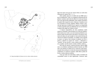 58

59

2 8 . - Debuxo do petróglifo de Grichouso con circos, coviñas e muiños naviculares

O Outeiro dos Lameiros

tigua hai outros seis que por estaren feitos na rocha base
chamamos de soporte fixo. (Fig. 28).
Estes muíños aparecen en Galicia hai uns 6000 anos á
par da neolitización, é dicir, coa chegada da domesticación de
plantas e animais e polo tanto do cultivo de cereais que hai que
moer para logo facelos panificables. Estes muíños naviculares
de soporte fixo só aparecen entre o Morrazo e Caminha con só
tres excepcións en Carnota, Agolada e Ribeira. Chama a atención que aparezan no ámbito da arte rupestre ou compartindo
a mesma superficie polo que dubidamos do seu uso doméstico
e quizais teñan algún uso cultual ou ritual.
A riqueza arqueolóxica da zona complétase cunha
mámoa na chamada A Chan da Bouza ou A Chan do Ceboleiro.
Unha mámoa non é máis ca un enterramento prehistórico consistente nunha estrutura pétrea que pode ter uns poucos centímetros de altura até, por exemplo, os catro metros da lousa de
cabeceira do dolmen de Dombate. As medidas varían segundo
as zonas e as épocas. Esta estrutura recubríase con terra e
pedras e adquiría un aspecto de “mama”, o diminutivo é
“mamula” do que procede o nome mámoa tamén chamada
arca, arquiña, casa dos mouros, namela, medoña, madorra, ...
Este xeito de enterrar comezou hai pouco máis de 6000
anos e con distintas morfoloxías perdurou durante uns 2000
anos. Nas mámoas en Galicia non se conservan restos humanos polo chan acedo pero si restos dos enxovais alí depositados
consistentes en cacharros cerámicos, útiles líticos, puntas de
frecha e incluso adornos metálicos.
Crese que nelas non enterraban a todos os membros da
comunidade senón os máis significados. Construír unha

O patrimonio arqueolóxico e etnográfico

 