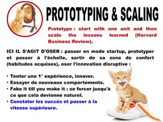 ICI IL S'AGIT D'OSER : passer en mode startup, prototyper
et passer à l'échelle, sortir de sa zone de confort
(habitudes acquises), oser l'innovation disruptive :
●
Tenter une 1° expérience, innover.
●
Essayer de nouveaux comportements.
●
Fake it till you make it : se forcer jusqu'à
ce que cela devienne naturel.
●
Constater les succès et passer à la
vitesse supérieure.
Prototype : start with one unit and then
scale the lessons learned (Harvard
Business Review).
 