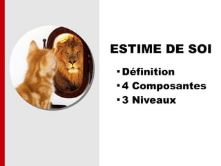 ESTIME DE SOI

Définition

4 Composantes

3 Niveaux
 