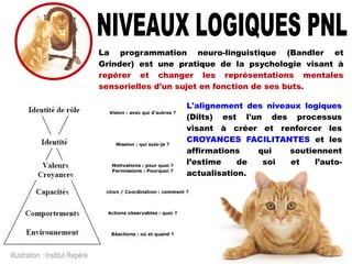 Illustration : Institut Repère
La programmation neuro-linguistique (Bandler et
Grinder) est une pratique de la psychologie visant à
repérer et changer les représentations mentales
sensorielles d'un sujet en fonction de ses buts.
L'alignement des niveaux logiques
(Dilts) est l'un des processus
visant à créer et renforcer les
CROYANCES FACILITANTES et les
affirmations qui soutiennent
l’estime de soi et l’auto-
actualisation.
 